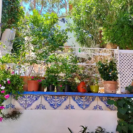 Charming Townhouse In Mallorca Hébergement de vacances *